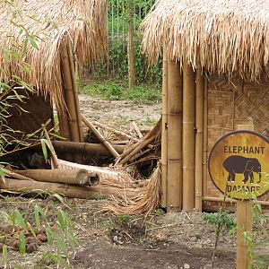 Asian Elephant Enclosure
