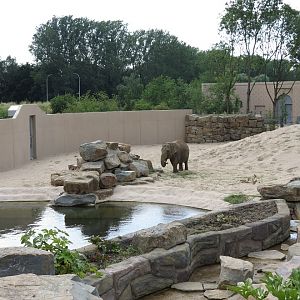 Asian Elephant Enclosure