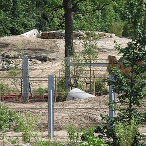 Asian Elephant Enclosure