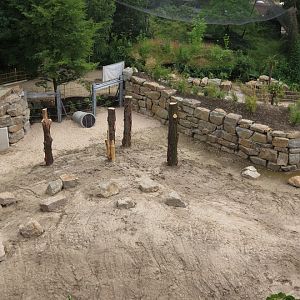 Asian Elephant Enclosure