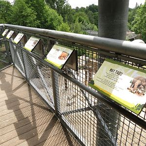 Asian Elephant Enclosure