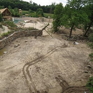 Asian Elephant Enclosure
