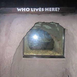 Jun. 2012-Aardvark den