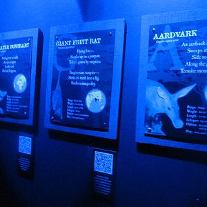 Jun. 2012-Aadvark, Fruit Bat, and Galago signs