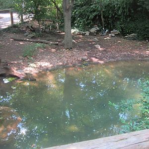 Jun. 2012-African penguin exhibit