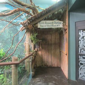 Jun. 2012-Research Shelter in the South American aviary