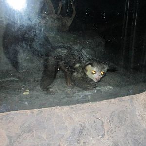 Jun. 2012-Aye-aye