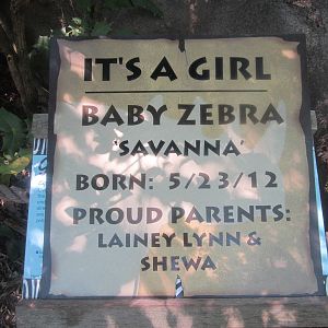Jun. 2012-Baby Savanna Sign