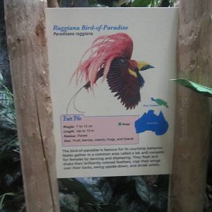 Jun. 2012-Bird-of-paradise sign