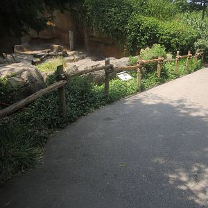 Jun. 2012-American black bear exhibit viewing