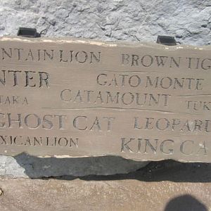 Jun. 2012-Cougar Names Sign