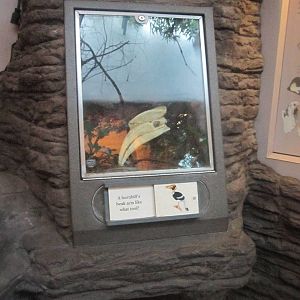 Jun. 2012-Educational Display in Wings of the World