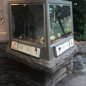 Jun. 2012-Educational Display in Wings of the World