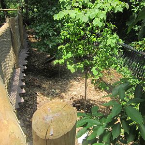 Jun. 2012-Former Eastern Wild Turkey exhibit
