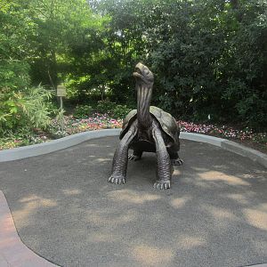 Jun. 2012-Galapagos Tortoise Statue