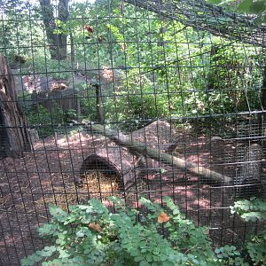 Jun. 2012-Grey Fox exhibit