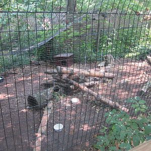 Jun. 2012-Grey Fox exhibit