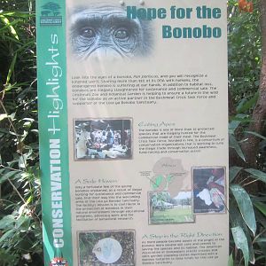 Jun. 2012-Hope for the Bonobo