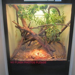 Jun. 2012-Jameson's Mamba exhibit