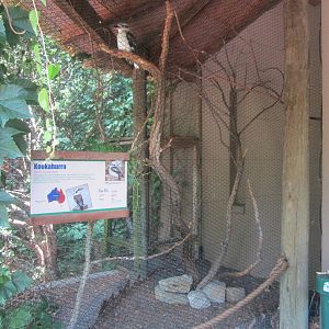 Jun. 2012-Laughing Kookaburra aviary