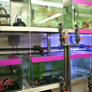 View of behind the scenes