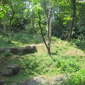 Jun. 2012-Right side of the Sumatran Orangutan exhibit