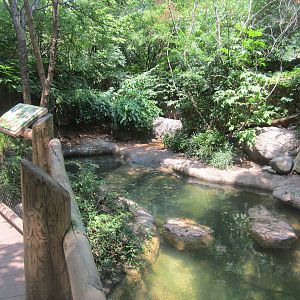 Jun. 2012-Little Penguin exhibit