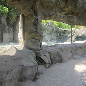 Jun. 2012-Middle Polar Bear exhibit viewing