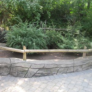 Jun. 2012-Radiated/Red-footed/Gopher Tortoise exhibit