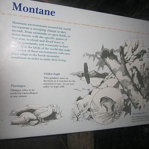 Jun. 2012-Montane Sign in Wings of the World