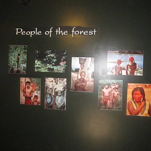 Jun. 2012-People of the Forest