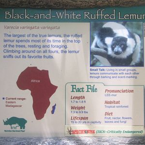 Jun. 2012-Ruffed Lemur Sign