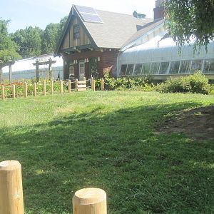 Giant Tortoise Exhibit
