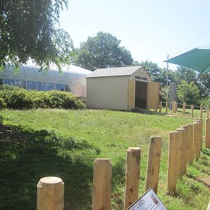 Giant Tortoise Exhibit