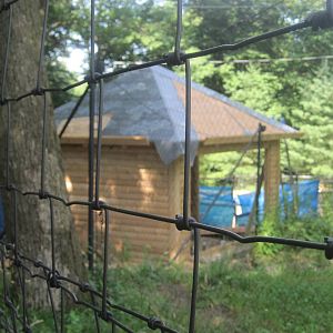 Hoofstock- Construction