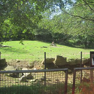Hoofstock- Bison/Deer Exhibit