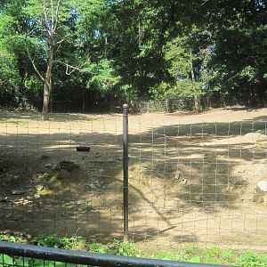 Hoofstock- Pronghorn Exhibit