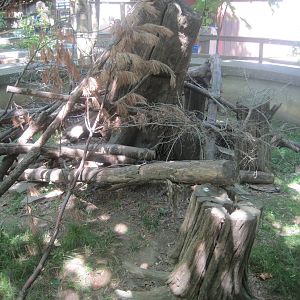 New England Farmyard- Porcupine Exhibit