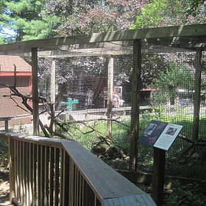 New England Farmyard- Raven Exhibit