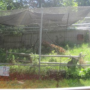 New England Farmyard- New Snowy Owl Exhibit