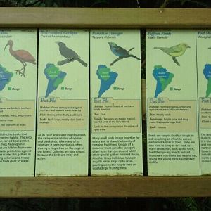 Jun. 2012-South American Bird Signs in Wings of the World (2)