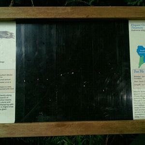 Jun. 2012-South American Bird Signs in Wings of the World (3)