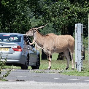 Read The Sign - 30/06/2012