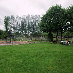 Demolition Site at Twycross, 01/07/12