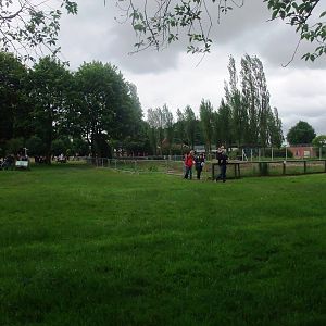 Demolition Site at Twycross, 01/07/12