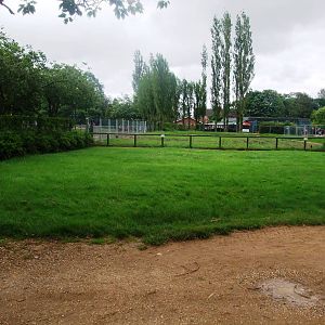Demolition Site at Twycross, 01/07/12
