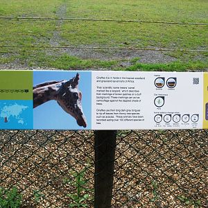 Signage Example at Twycross, 01/07/12