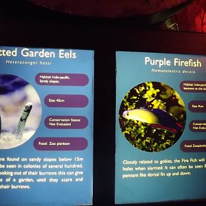 Signage example at SEA LIFE Blackpool 30/06/12