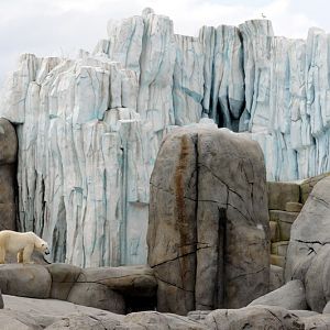 Polarbearenclosure at Hamburg