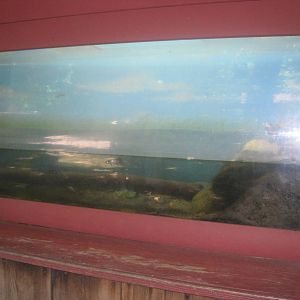 New England Farmyard- Diamondback Terrapin Exhibit